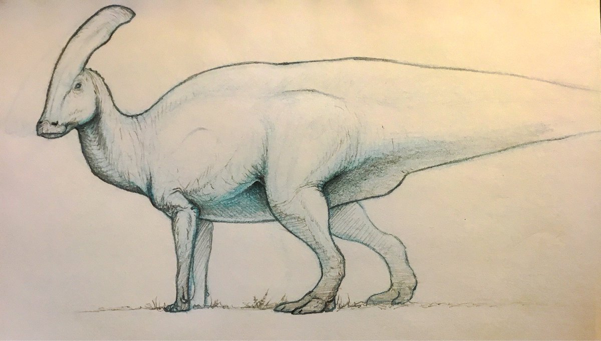I NEVER draw hadrosaurs. Shame, they’re such pretty animals. The ...