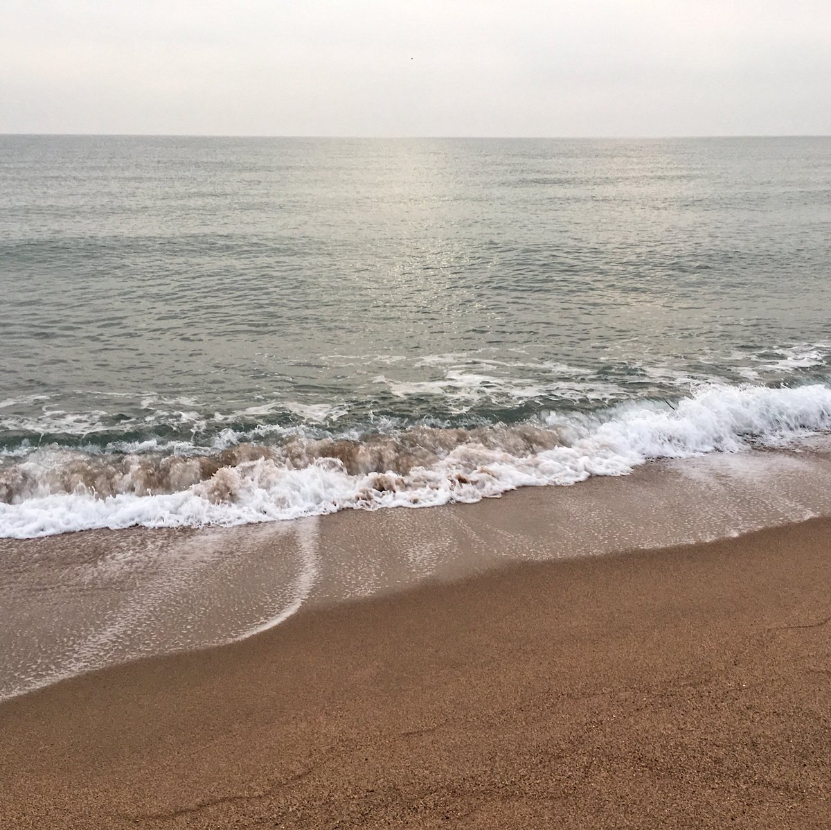 MontLacomba's tweet photo. Mai no ens podran robar el mar.
#waves #mywaves #onades #onadesquefaigmeves #girona #emporda #baixempordà #imatgesquemempenyenaescriure
#empordatestimo #sea #mediterraneansea  #estimarlavida #estimarlanatura #estimarelmar #color #mediterraneancolors #observation https://t.co/Pqfpa6MI6h