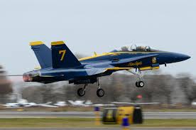 BustyBlueAngel's tweet photo. Should I stay a blue angel? or would you like some A10 action? https://t.co/NWntSg91OE
