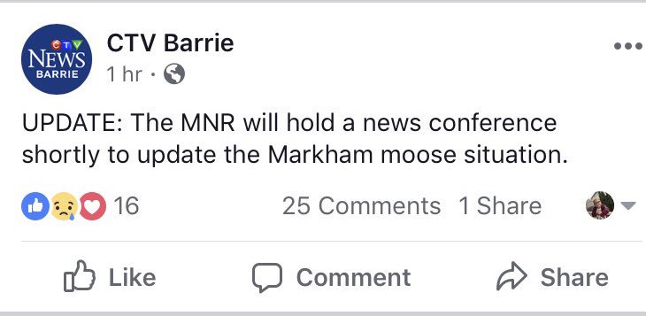 misterwashburn's tweet photo. #Canada in one post #markhammoose @Canada https://t.co/9JRUTSF9tC