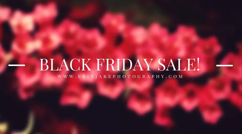 ErinJakePhotos's tweet photo. Erin &amp; Jake Photography BLACK FRIDAY SALE! Take $100 Off Our Top Photography Packages! Book your session this weekend and cash in on the savings...Check out our blog post for more details! https://t.co/NymFRsNmjJ #erinandjakephotography #blackfriday #blackfridaysale https://t.co/FqaHv087Xx
