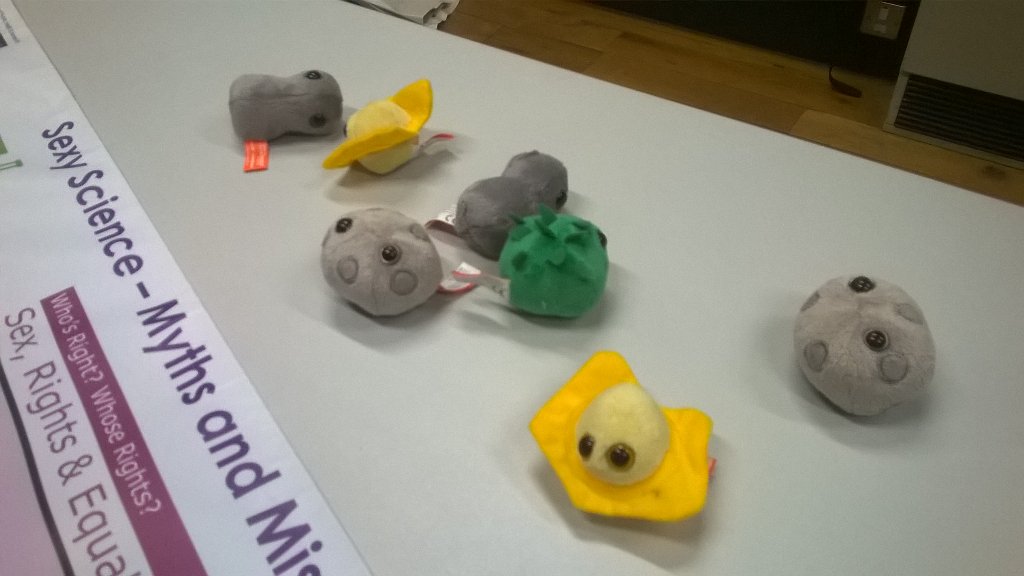 hannahctweed's tweet photo. Most aesthetically pleasing representation of an SDT? I think so @BeingHumanFest #GUsexyscience https://t.co/fnnOdLy8Lx
