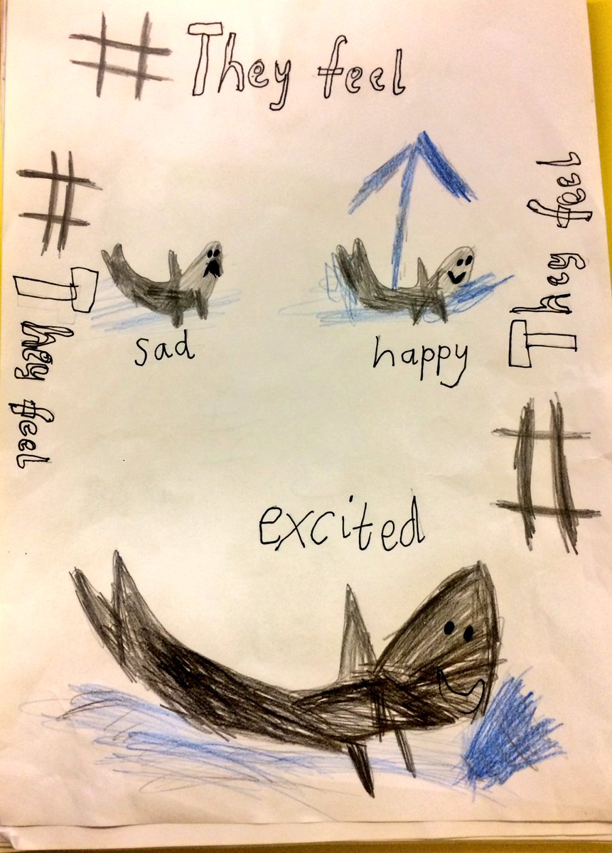 SunnysidePri's tweet photo. Whilst there might be some confusion over whether amendments state that animals can or cannot have emotions...Our Sunnysiders P1-P7 stated clearly that they are in no doubt. #TheyFeel 🦊🐬🐘🦋🐷🐒🦀🦈 https://t.co/GNUh98egfK