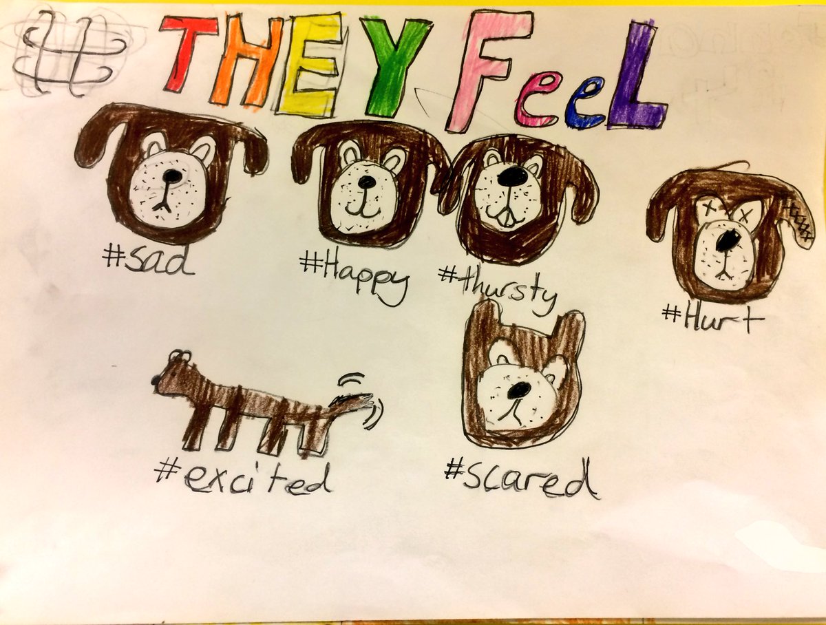 SunnysidePri's tweet photo. Whilst there might be some confusion over whether amendments state that animals can or cannot have emotions...Our Sunnysiders P1-P7 stated clearly that they are in no doubt. #TheyFeel 🦊🐬🐘🦋🐷🐒🦀🦈 https://t.co/GNUh98egfK