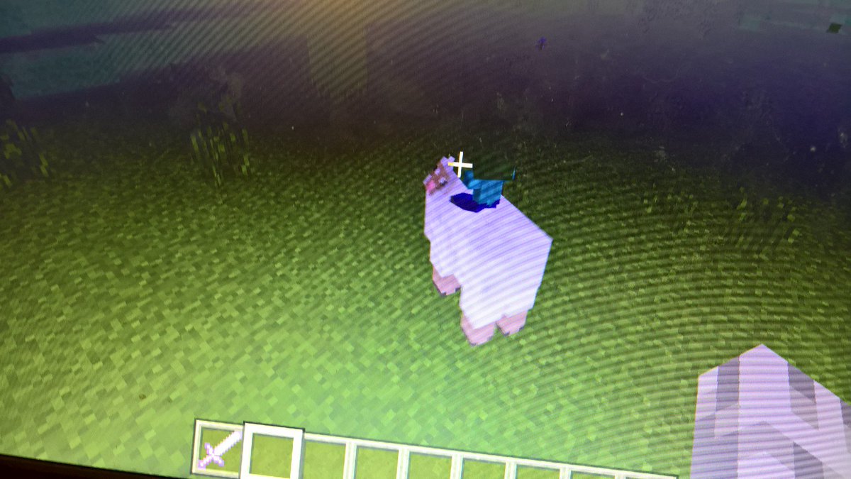 hwaters80's tweet image. @cubfan135 Do you play #MinecraftWindows10 ? My son was playing the other night. Spawned this in. Hope we get them in #Java edition.