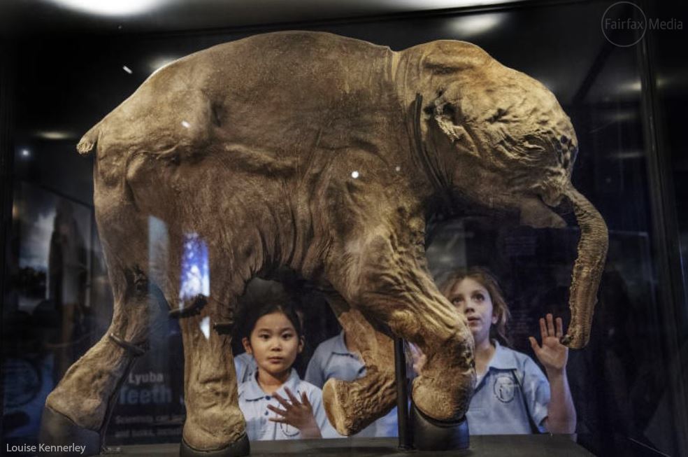 SMH Photography tweet media