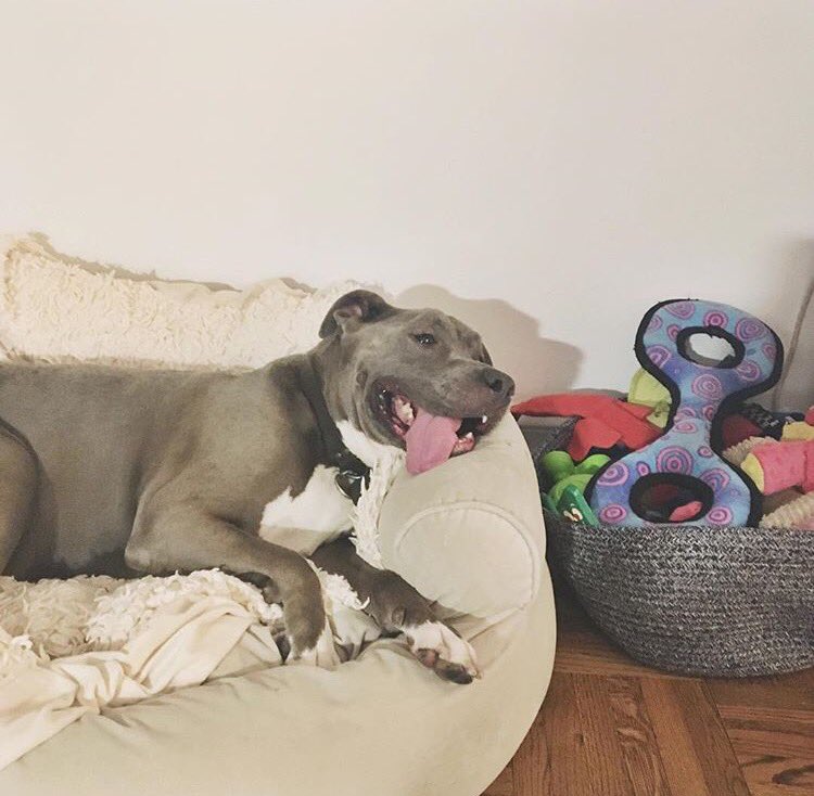 We shopped. Then we dropped. 

#BlackFriday2017 #BlackFridayDeals