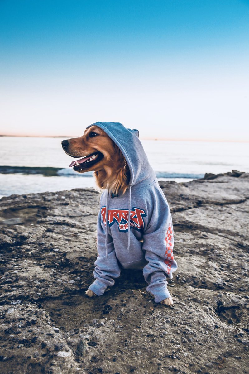 natekgarner's tweet photo. GARNER MERCH GIVEAWAY!
It’s hoodie season, get yours now! RETWEET to win a free hoodie 👀🔥

https://t.co/aIkdnHO8EM https://t.co/kC4SmMahbS