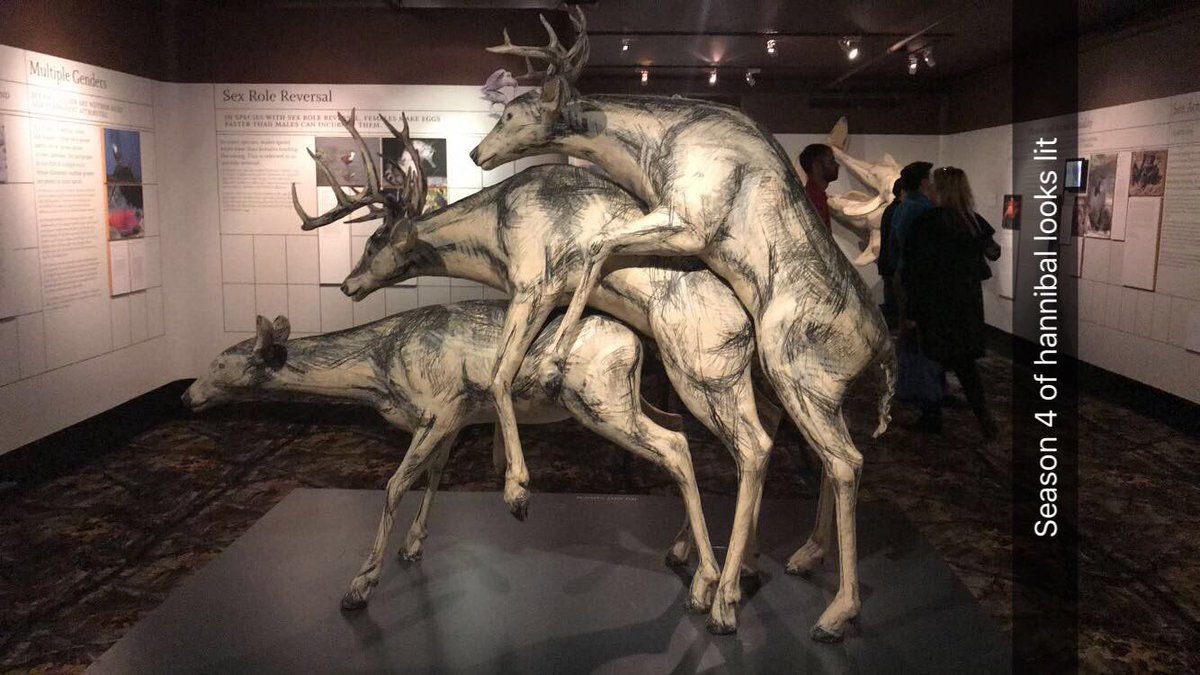 mnijaykay's tweet photo. Season 4 of Hannibal is shaping up to be amazing https://t.co/6Q8lLLluP6