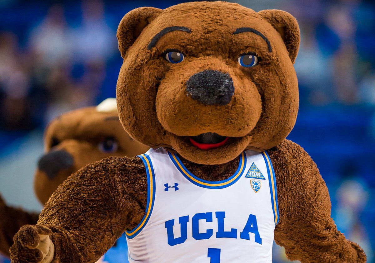 Ucla Basketball Mascot