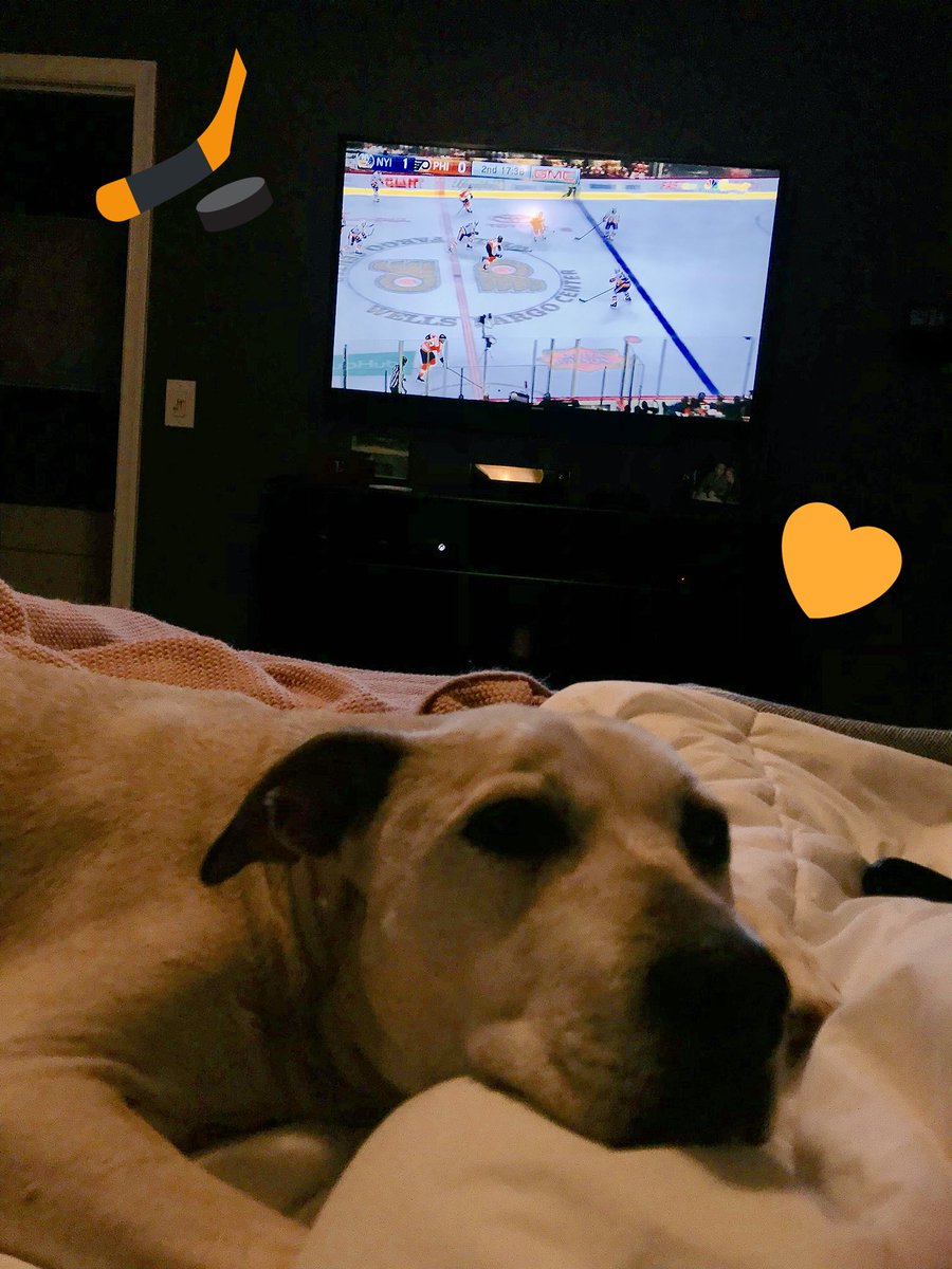 britjanes's tweet photo. Still stuffed from yesterday... but still rooting for you guys. #flyers @NBCSFlyers #AuthenticFan #thankingdogs https://t.co/8hbMuxokJs