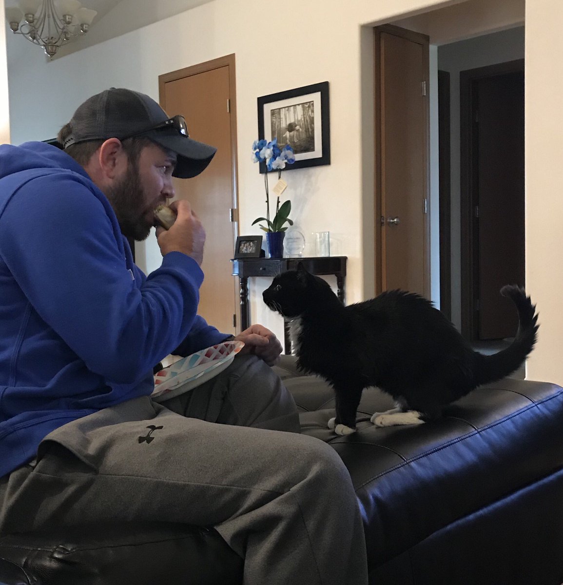AmeriBeaner's tweet photo. I see you have a turkey sammich. I have no turkey sammich. @PurrfectPals #HospiceFoster #WonderKitty https://t.co/AZg2CaJ9Gd