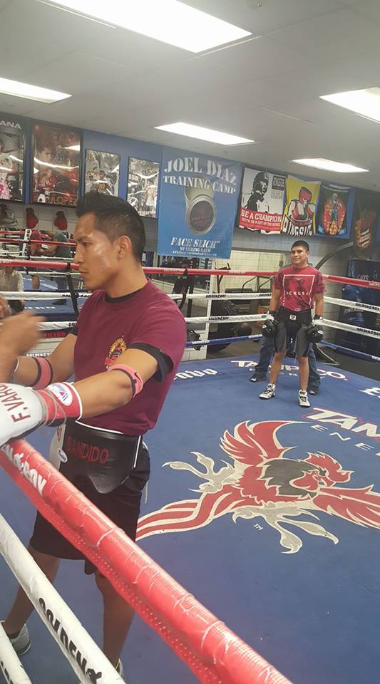 Han de estar buenas las sesiones de sparring de @elbandido130 y @DiegoDeLaHoya en el campamento con @JoelDiazBoxing