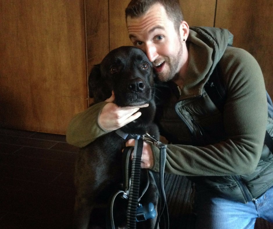 OswegoVictoria's tweet photo. Pet of the week: Brody. This beautiful pupper is visiting The Garden City all the way from The Golden City - San Francisco. #dogsofyyj #petfriendly #VictoriaBC #YYJ https://t.co/Y8kapg92iB https://t.co/NYHzFW3fdH