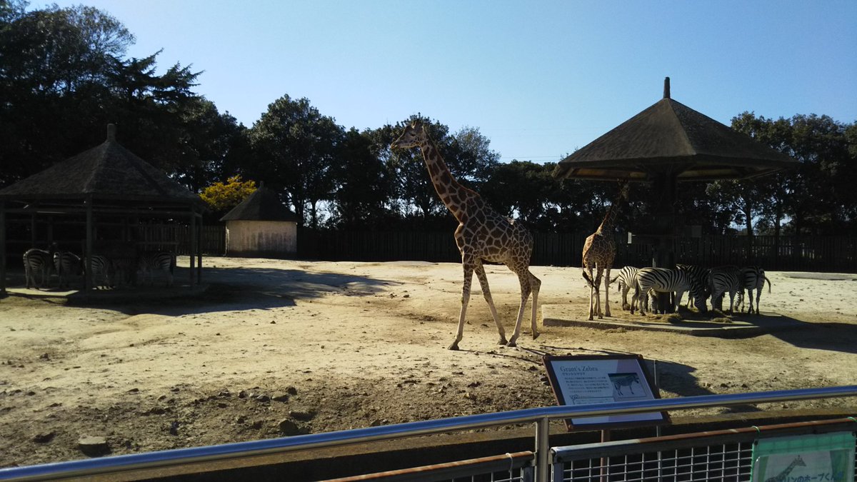 蓮月 07年11月25日 仮面ライダー電王 第42話放送 記憶 をめぐる ささやかな恋物語後編 D侑斗とイマジン契約者の女の子 微笑ましいデートは東武動物公園にて ホントに楽しそうで だからこそ余計に切なくて 仮面ライダー電王10周年