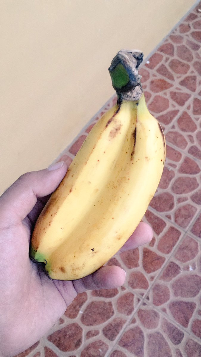 Bottom_MD tweet picture