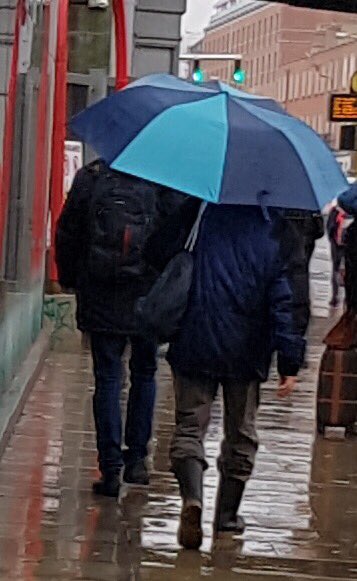 RedKitesIreland's tweet photo. This week privileged to be teaching about #reintroduction @tcddublin for MSc course #FutureEcologists #wetweatherindublin #wellyboots in the city https://t.co/0svVVFrHuU