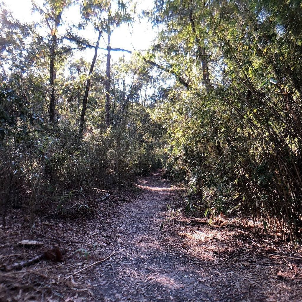 CJBautista's tweet photo. #optedoutside #blackfriday #nature #trails https://t.co/Ch8pYYka3u https://t.co/1bwlUspVN1