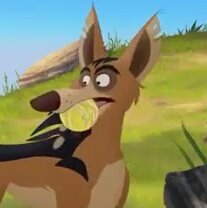 JackalGoigoi's tweet photo. (Updated pinned tweet)

🍖 First ever Goigoi 

💤#TheLionGuard  

🍖 Not new to RP

💤 Detailed

🍖 Ships with Rairai or chem 

💤 Lewd in DMs only 

🍖 RT?

      [#ARockingAussie] https://t.co/MrsKufQFbQ