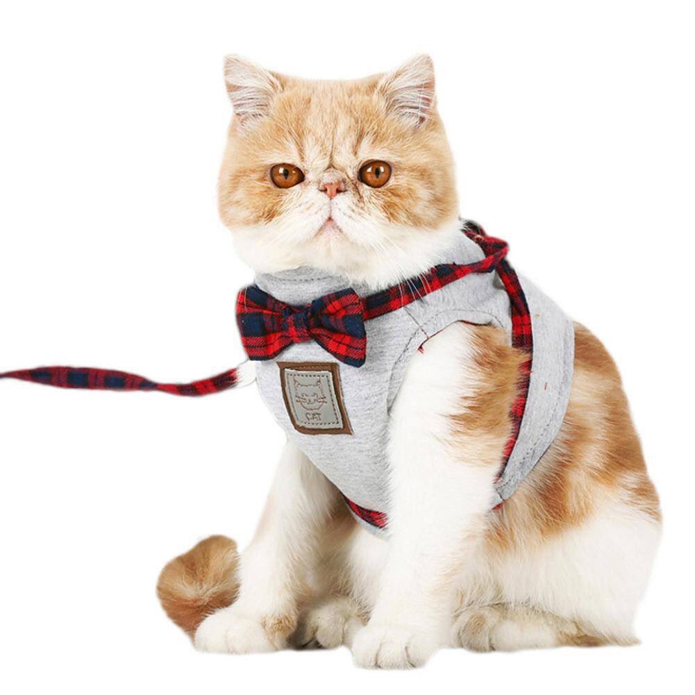 PawkeePets's tweet photo. The deals are on at https://t.co/VPSjo6QCpr check out this handsome harness https://t.co/WiIxKqoqxj #blackfriday #pawkee https://t.co/s2n4DGttnU