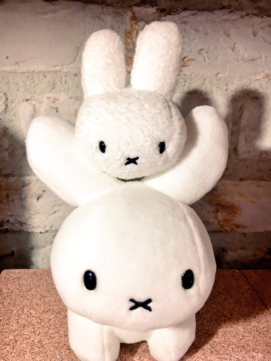 Section 池袋マルイ 閉店 Pa Twitter ちなみにこの状態 初期のミッフィ ナインチェ に似ていることと 小さいサイズのうさぎ により強制的にその状態になってしまったことから 当店では 強制ナインチェ と名付けました ぜひお持ちのミッフィのぬいぐるみでもやっ