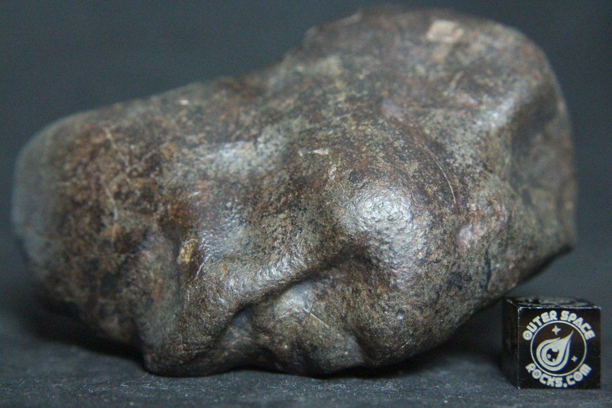 OuterSpaceRocks's tweet photo. Quintessential zoomorphic or anthropomorphic sculpted meteorite. This is a highly unusual wonder of nature, making this meteorite more a work of art than an object of science. #Meteorite #OuterSpaceRocks https://t.co/379MDdy9de