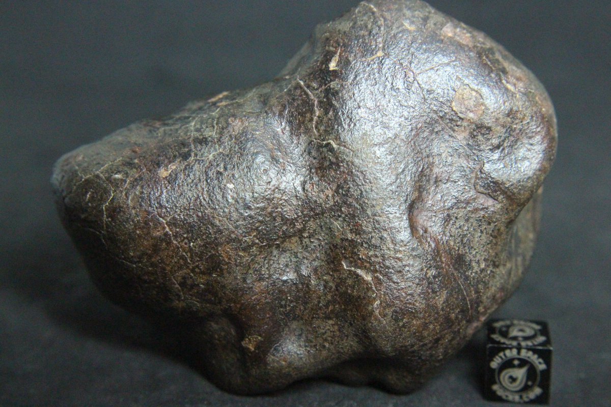 OuterSpaceRocks's tweet photo. Quintessential zoomorphic or anthropomorphic sculpted meteorite. This is a highly unusual wonder of nature, making this meteorite more a work of art than an object of science. #Meteorite #OuterSpaceRocks https://t.co/379MDdy9de