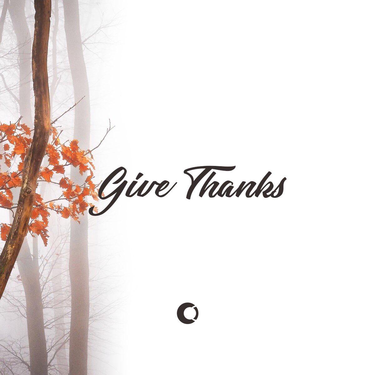 crtvintention's tweet photo. Happy Thanksgiving 🍁 #HappyThankgiving https://t.co/1vkIipKg4O