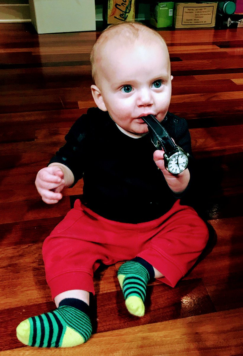 Louis Rose tweet media