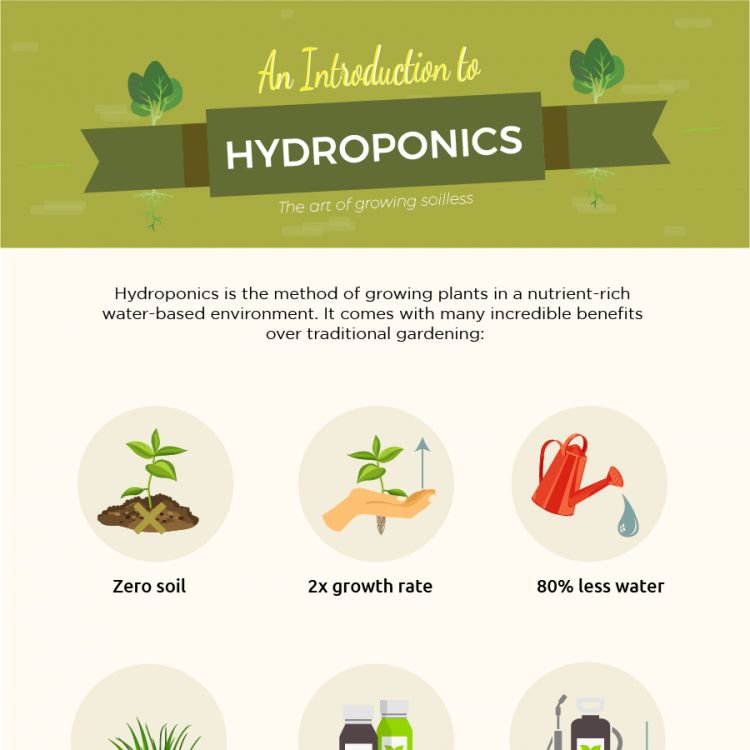 hawthornegc's tweet photo. What a perfect time for a new infographic! Welcome all the new comers into the world of hydroponics!!! Thanks @the_plaidzebra for the article!

INFOGRAPHIC —>https://t.co/tT8uKqN3ZS

#Hydroponics #SunlightSupply #Infographic https://t.co/Cg4n14qjRt