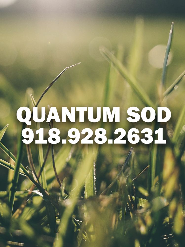 JMaximus226's tweet photo. Shaun R.'s review of Quantum Sod https://t.co/lwhR019eko https://t.co/XOViyOsbiP
