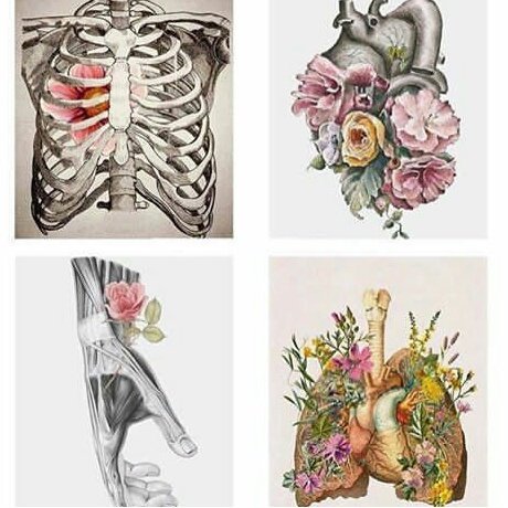 #SiyahBeyazAşk بعد ماشفت الاعلان واصلي حاضنته 😭😭😭💗💗..