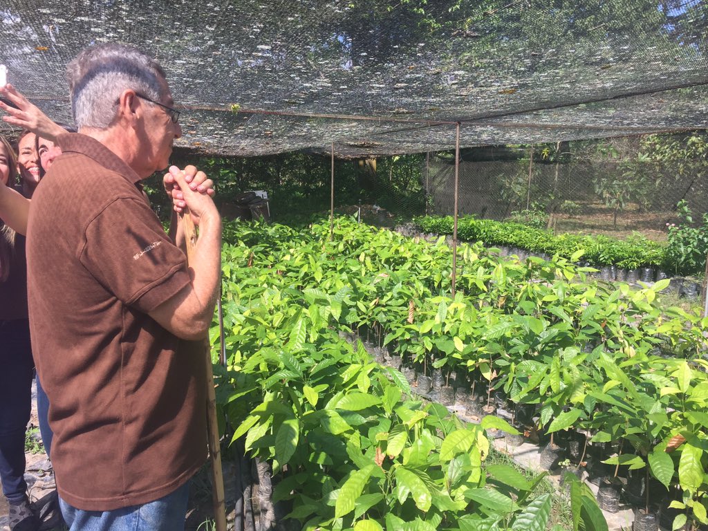 DarikuVE's tweet photo. Hoy fue un día grandioso lleno de nuevas experiencias, comencé por la visita a la Hda San Cayetano, Canoabo #beantobar luego terminamos el día con el taller de #kakao #bombones con #jimmybrito y #gaudygonzalez #ChoccoVenezuela2017 https://t.co/k97W7O99eL