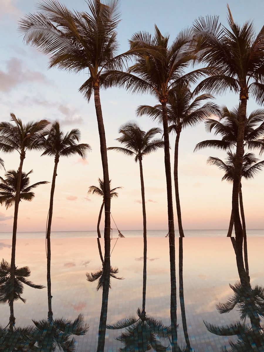 aliciakeys's tweet image. attract what you expect, reflect what you desire, become what you respect, mirror what you desire... #reflections #reflecting  
📸 @Cole_Cook