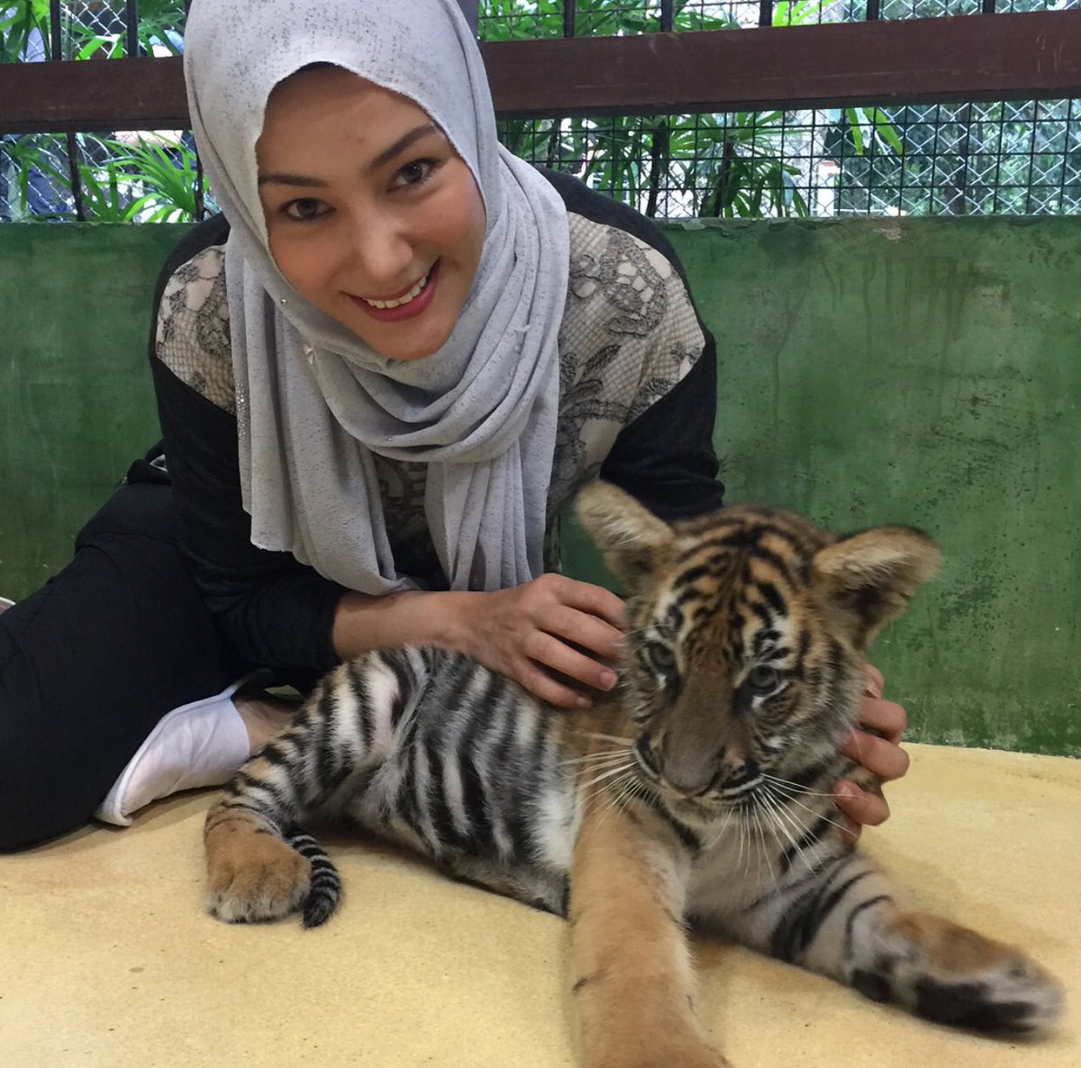 Hot Fm En Twitter Comelnya Anak Harimau Dengan Erra Tu Jom Kita Bagi Nama Paling Cute Dekat Dia Hotselebriti Errafaziraahmad Https T Co Awtpraarcd Twitter