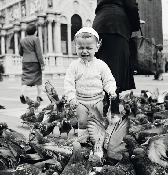 cariacontecida1's tweet image. #BillPerlmutter