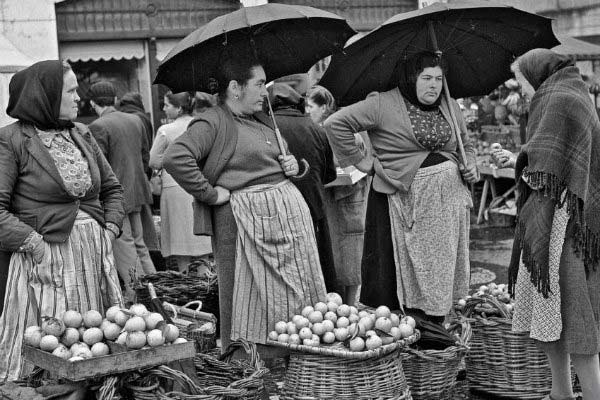 cariacontecida1's tweet image. #BillPerlmutter
#Portugal 1956