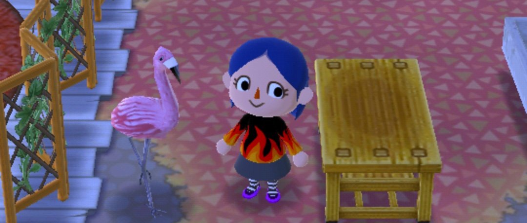 Crys134's tweet photo. 🎶Pink Flamingos in my yard🎶 #AnimalCrossingPocketCamp #2Fux  #AdamLambert https://t.co/pfz0RZqS5U