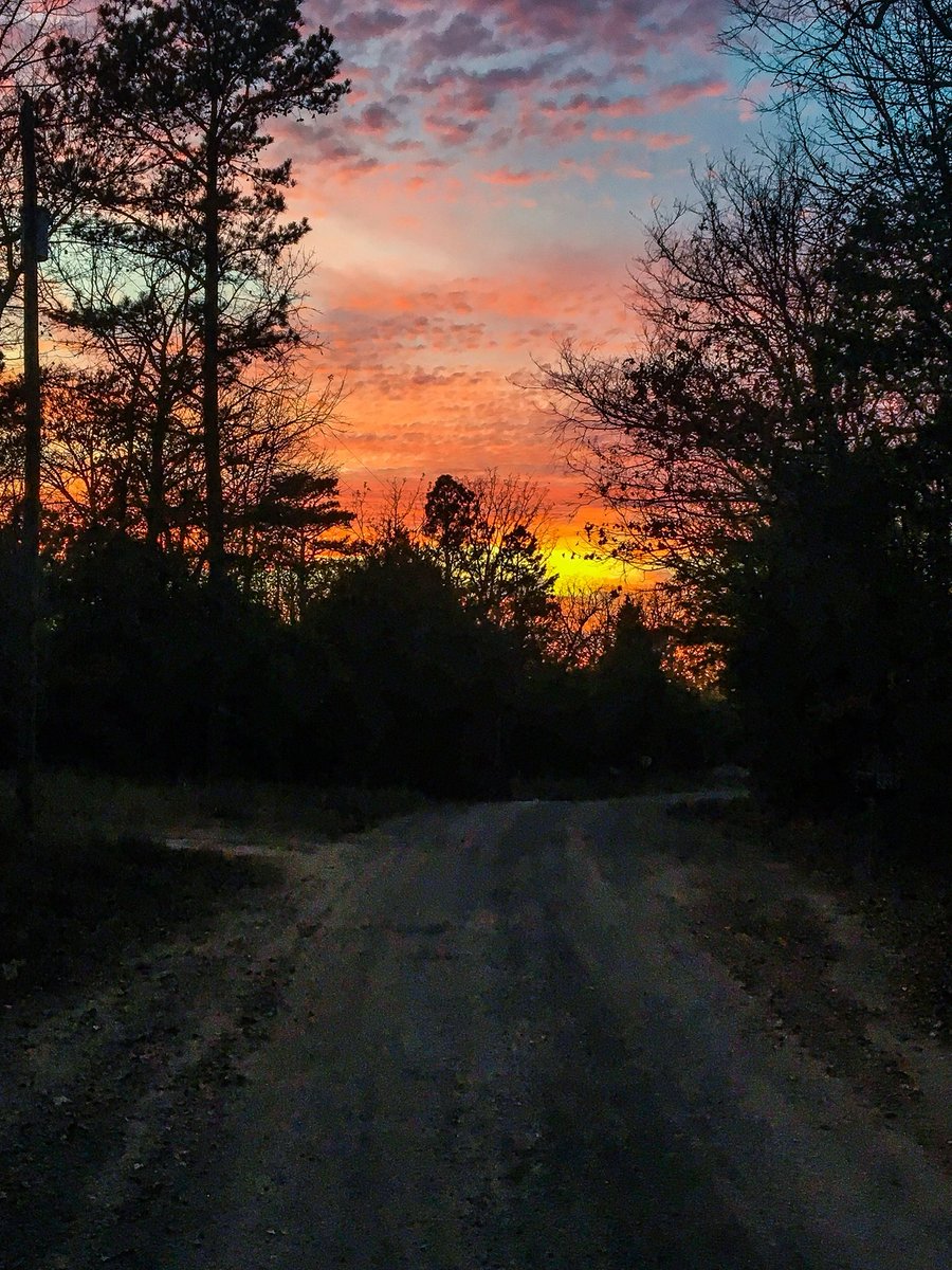 d_anderson010's tweet photo. Arkansas backroads.... wouldnt trade for anything. #sunsets #arkliving https://t.co/xkD9QBixpy