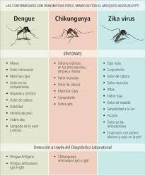 CBanagasta's tweet photo. #PrevencionDengueZykaChikungunya  
CAI N6 Un nuevo sol https://t.co/Tc6knUF5dV