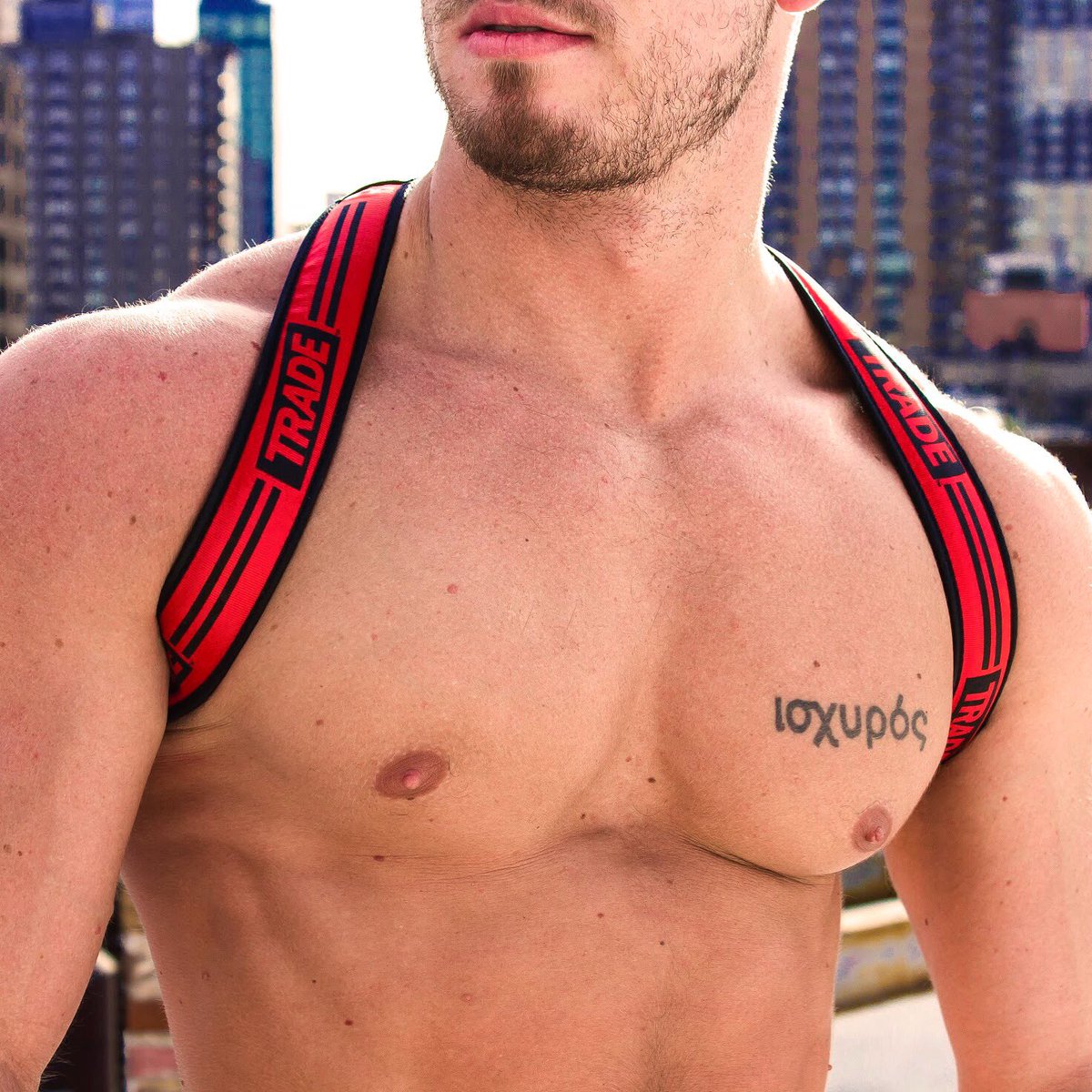 tradenyc's tweet photo. ⏱⏱⏱ 3 hours left for the @tradepartygear Black Friday Sale! ⚫️⚫️
Prep for your next party with up to 70% off merch on https://t.co/l71XCfPUi0 🔥 https://t.co/DMlzELoZeW