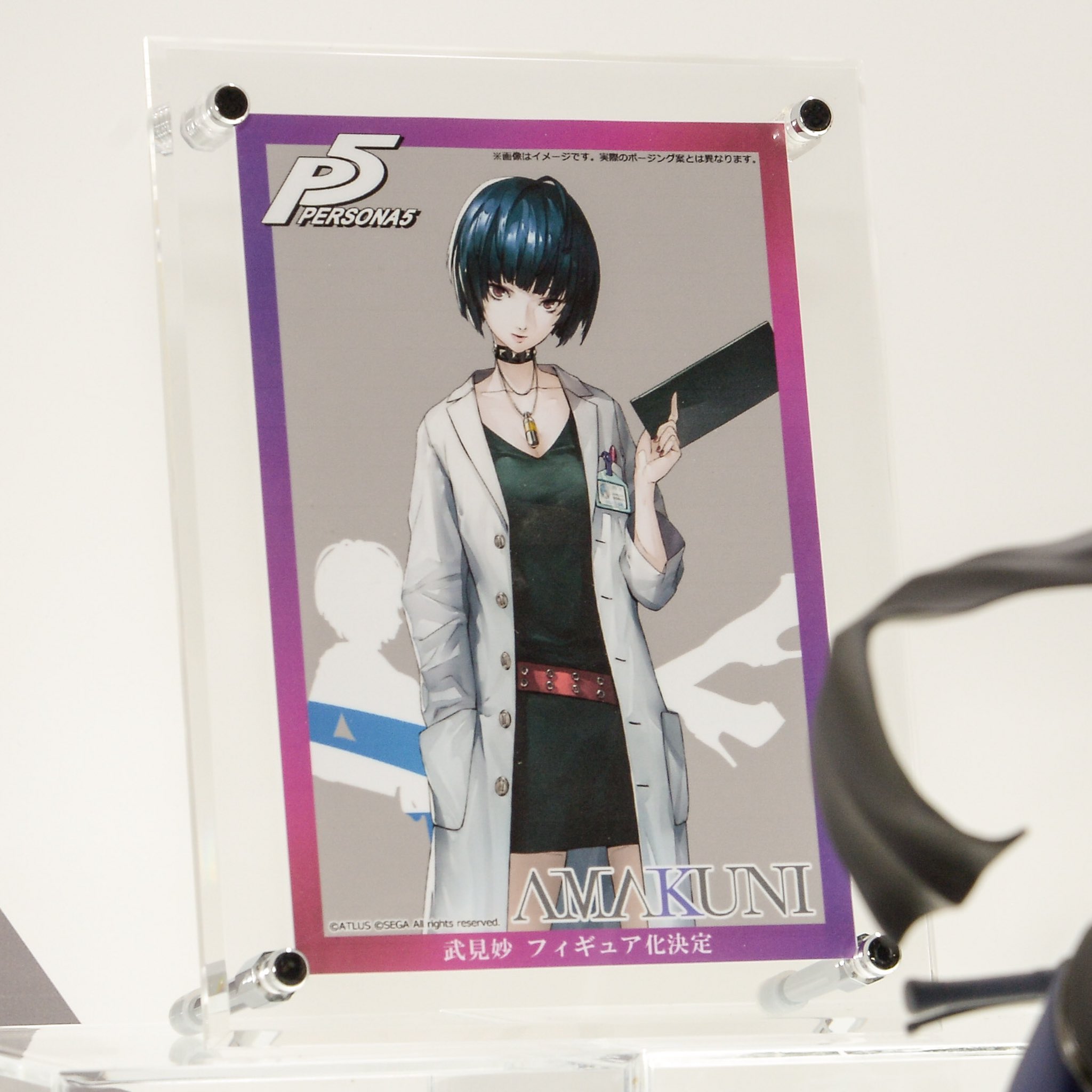 FIG]武見妙(たけみたえ) ペルソナ5 1/7 完成品 フィギュア 月刊