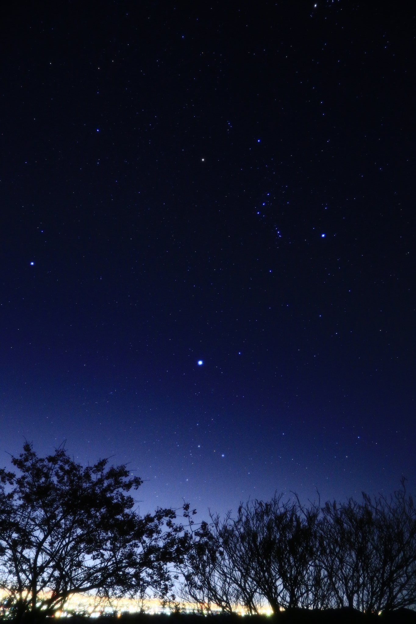 ｼﾞｮｳ 夜景と星景を一緒に撮りたかったのに 明るすぎるよﾄｰｷｮｰ 堂平山 夜景 星景 星空 オリオン座 アンドロメダ星雲 T Co Fhufwbyjuj Twitter