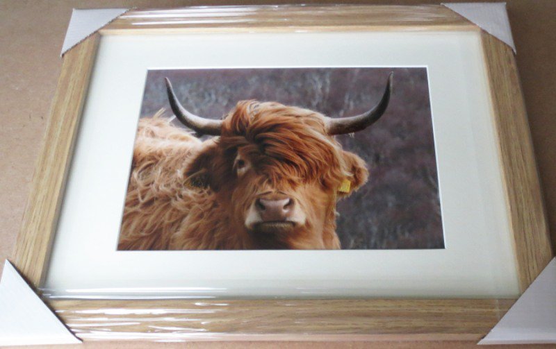 OnlyInTheWild's tweet photo. What is it with 4.30am! Here I am again awake, up and making stock for @ShoppingFayre Its going to be a busy day today @WestpointExeter Making #Ewellery now for @OnlyInTheWild trade stand in row G. https://t.co/bXeLJZNrib