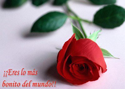 Frank Vargas on Twitter: Frank Vargas on Twitter: