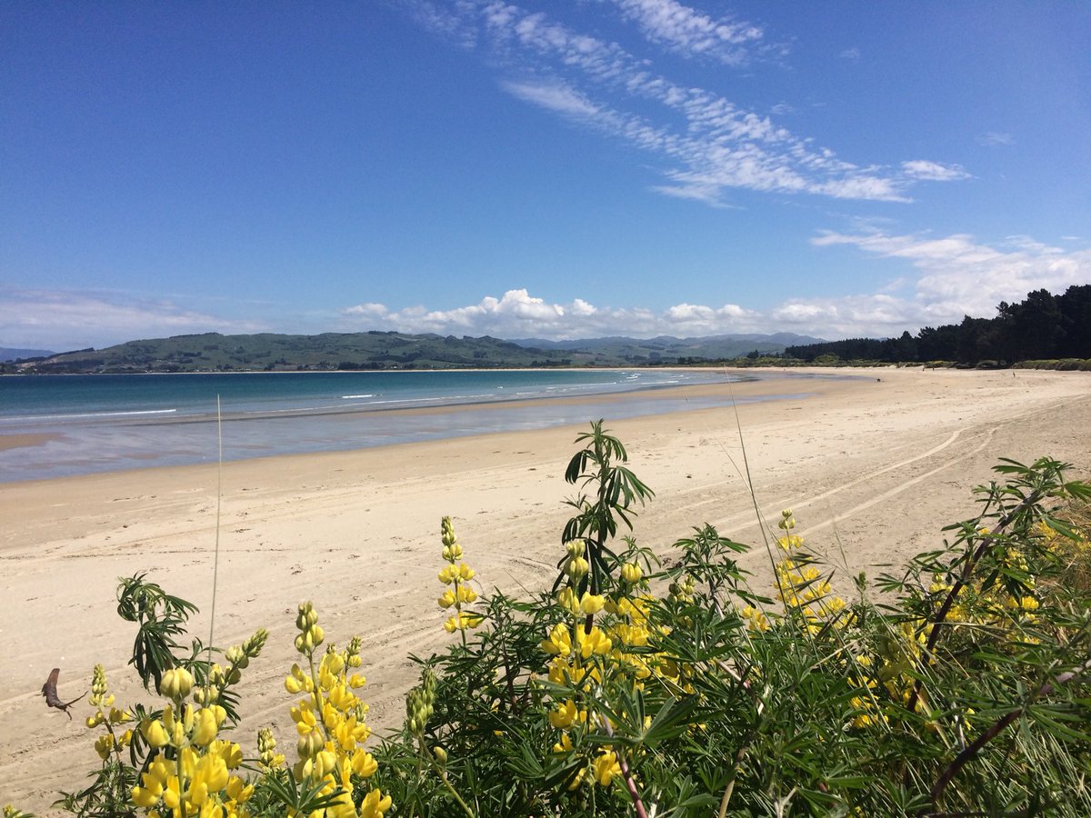 Beautiful weekend for a tiki tour around #Otago #waikouaiti #dunnerstunner #SouthIslandNZ #Kiwisummer #NewZealand #NZbeaches #loveNZ #NZ