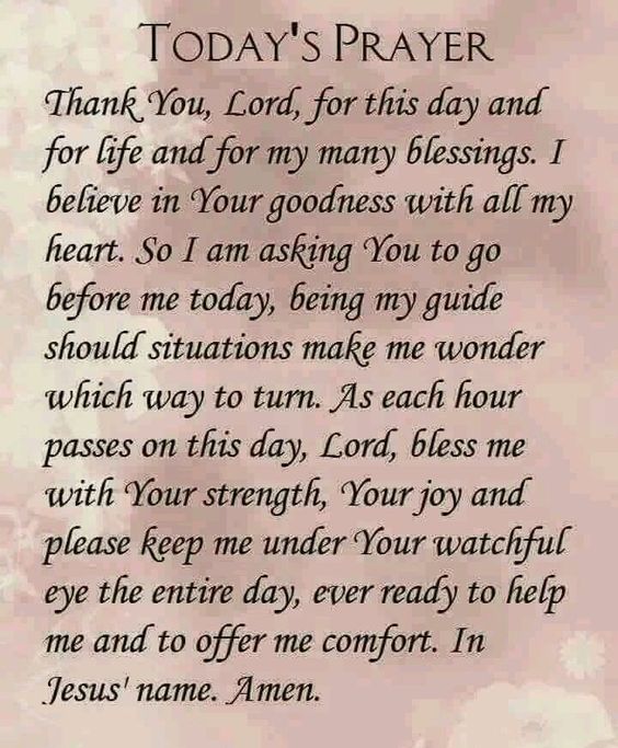 WVChurch's tweet photo. May God go before you today!
#dailyblessing #morningprayer #prayerpractice https://t.co/UGqxFjcQZA