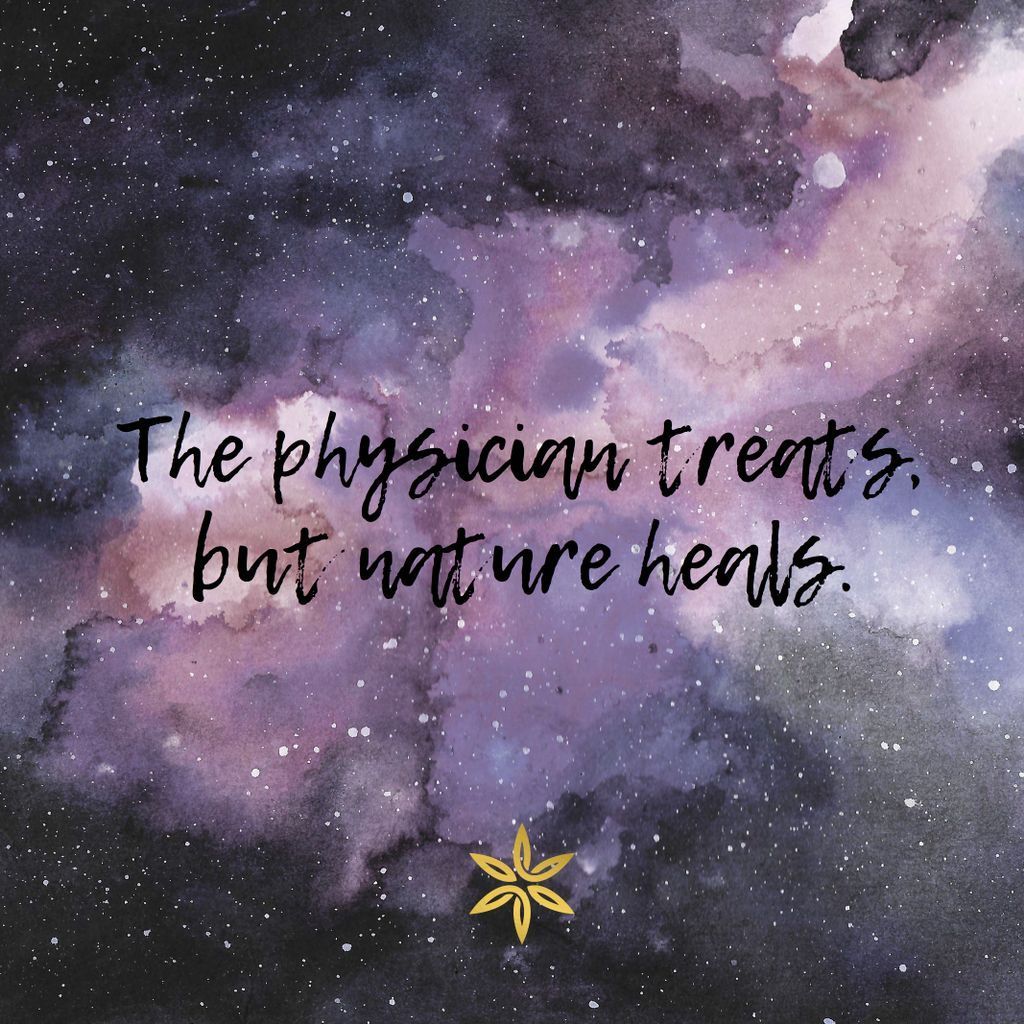 rosinhouse's tweet photo. Nature is good for the body + soul 💜 🌿 🐝 #roshinhouse #rosin #solventfree #cannabisheals https://t.co/S563V9G23x
