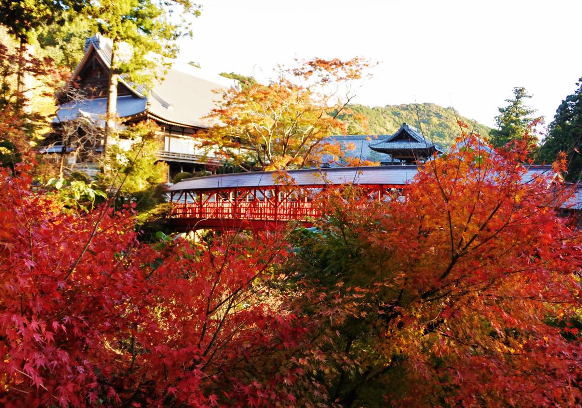 広 寺 浜松 方