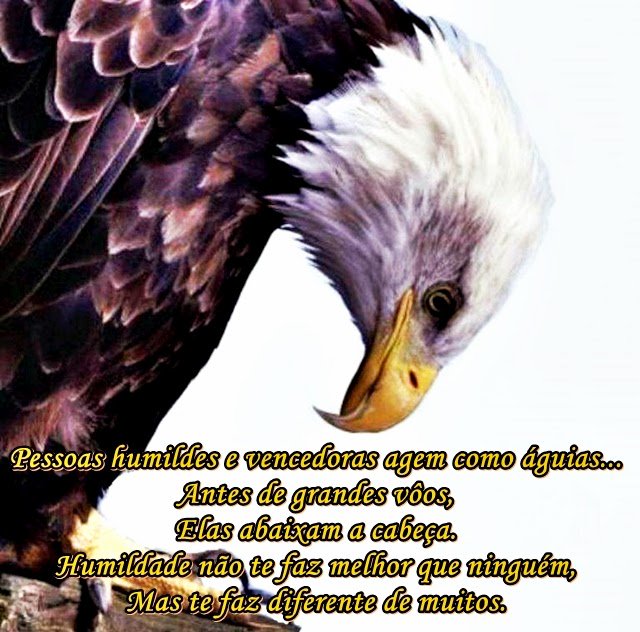LenitaJesus's tweet photo. @witchhusband @shrewsmorris @geonelroma @happy2013guy @LoLuxe1 @SpookyMovies @PinkDolphinMLtd @OVVeterans @PapaPorter1 @AfterEight13 @_ElaineLouise_ @sorelladomenica @Thirtyball @SitterBh @robtropper @uptnhrlmb @cloverhill_rock @chantal07851635 @yorlyx @SydesJokes @thaar  https://t.co/y05SmoPYg8